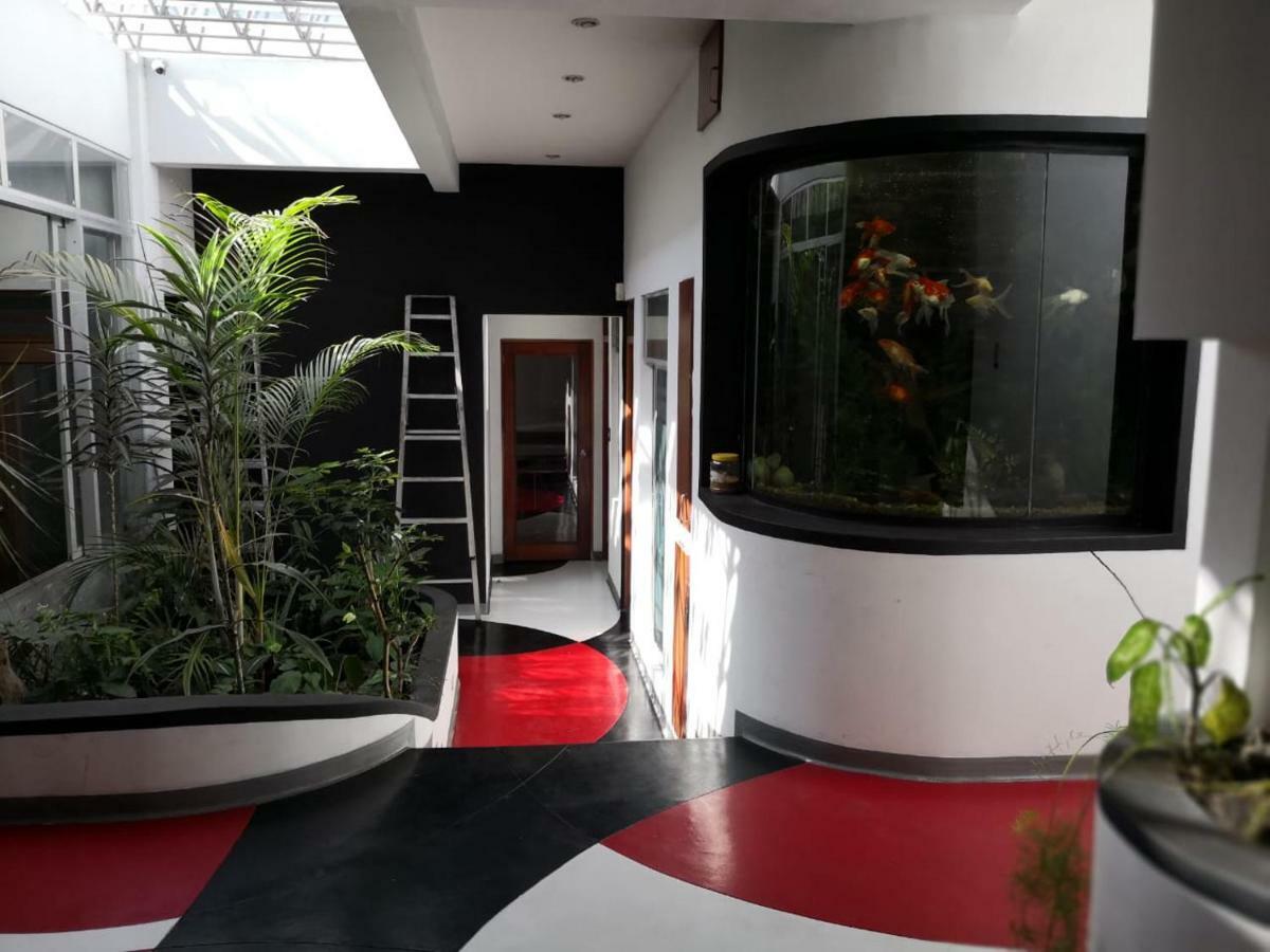 Apartments And Rooms Distecon Guatemala City Exterior photo